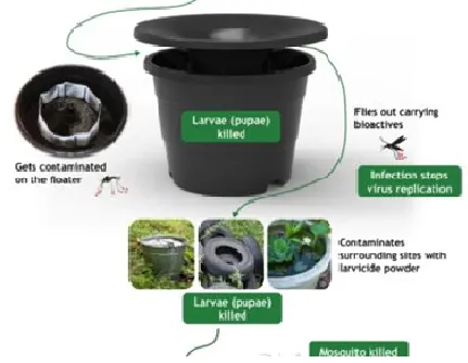 The Importance of Mosquito Control