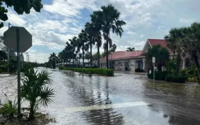 How Hurricanes and Flooding Impact Subterranean Termite Protection