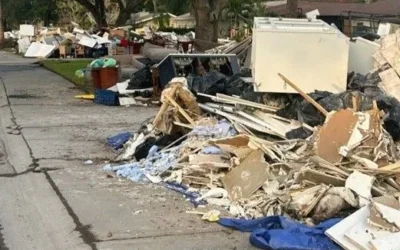 Recovering from a Hurricane: Addressing Rodent and Pest Problems After the Storm