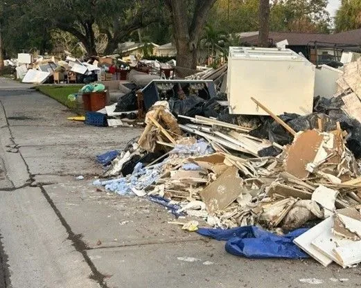 Recovering from a Hurricane: Addressing Rodent and Pest Problems After the Storm